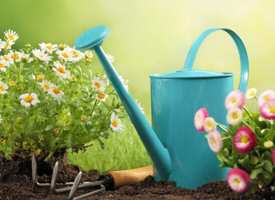 Garden Watering Can Gardening Equipment Arbemu SUpply Better Trade Supplier in Turkey
