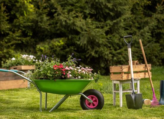 Wheelbarrow Gardening Equipment Arbemu SUpply Better Trade Supplier in Turkey