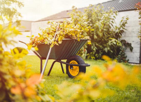 Arbemu-gardening-tools-final-garden-work-autumn-green-wheelbarrow, supplier, wholesaler-Turkey, Türkei,Turquie