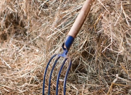 Arbemu-gardening-tools-pitchfork-haystack, supplier, wholesaler-Turkey, Türkei,Turquie