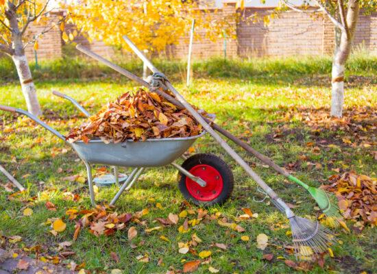 Arbemu-gardening-tools-raking-fall-leaves-garden-wheelbarrow-full, supplier, wholesaler-Turkey, Türkei,Turquie