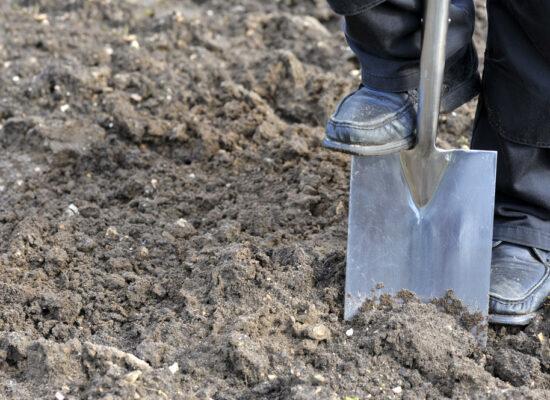 Arbemu-gardening-tools-shovel-gardener-preparing-soil-by-digging-over, supplier, wholesaler-Turkey, Türkei,Turquie