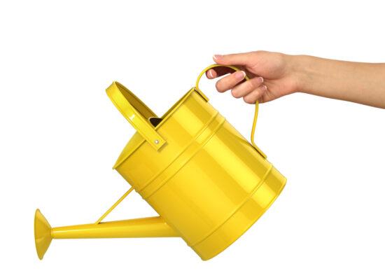 Arbemu-gardening-tools-watering can -concept-gardening-woman-hand-hold-yellow, supplier, wholesaler-Turkey, Türkei,Turquie