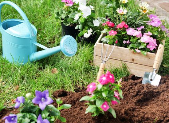 Arbemu-gardening-tools-watering can - gardening-utensils-plant-colorful-flowers-give, supplier, wholesaler-Turkey, Türkei,Turquie