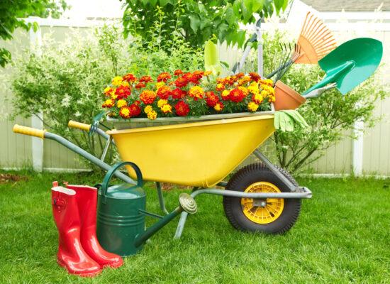 Arbemu-gardening-tools-wheelbarrow-gardening-tools-garden, supplier, wholesaler-Turkey, Türkei,Turquie