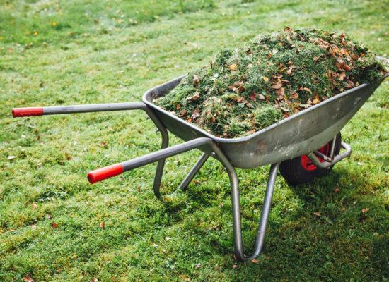 Arbemu-gardening-tools-wheelbarrow-grass-on-green-lawn-background, supplier, wholesaler-Turkey, Türkei,Turquie