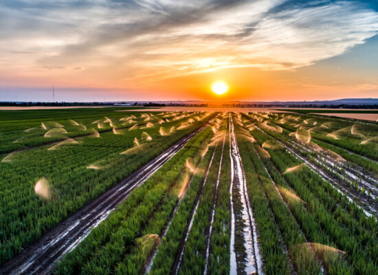 Arbemu- irrigation drip system - irrigation-field-sunset-aerial-view - supplier, wholesaler, Turkey, Türkei,Turquie