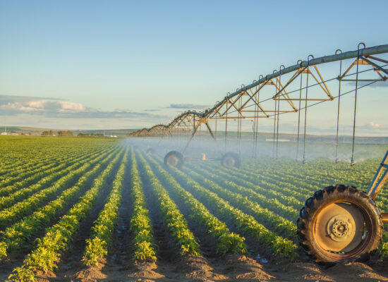 Arbemu- irrigation drip system - potato-field-irrigated-by-pivot-sprinkler - supplier, wholesaler, Turkey, Türkei,Turquie