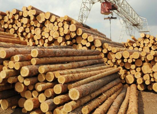 Timber Wood Products Turkey Supplier Exporter Arbemu International