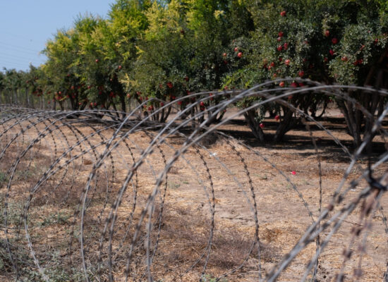 Arbemu-barbed-wire-fence-around-big-orchard-Turkey, Türkei,Turquie