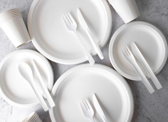 Arbemu, kitchen equipment - disposable kitchenware, set-empty-reusable-disposable-ecofriendly-plates, manufacturer, in Turkey, Turkei, Turquie